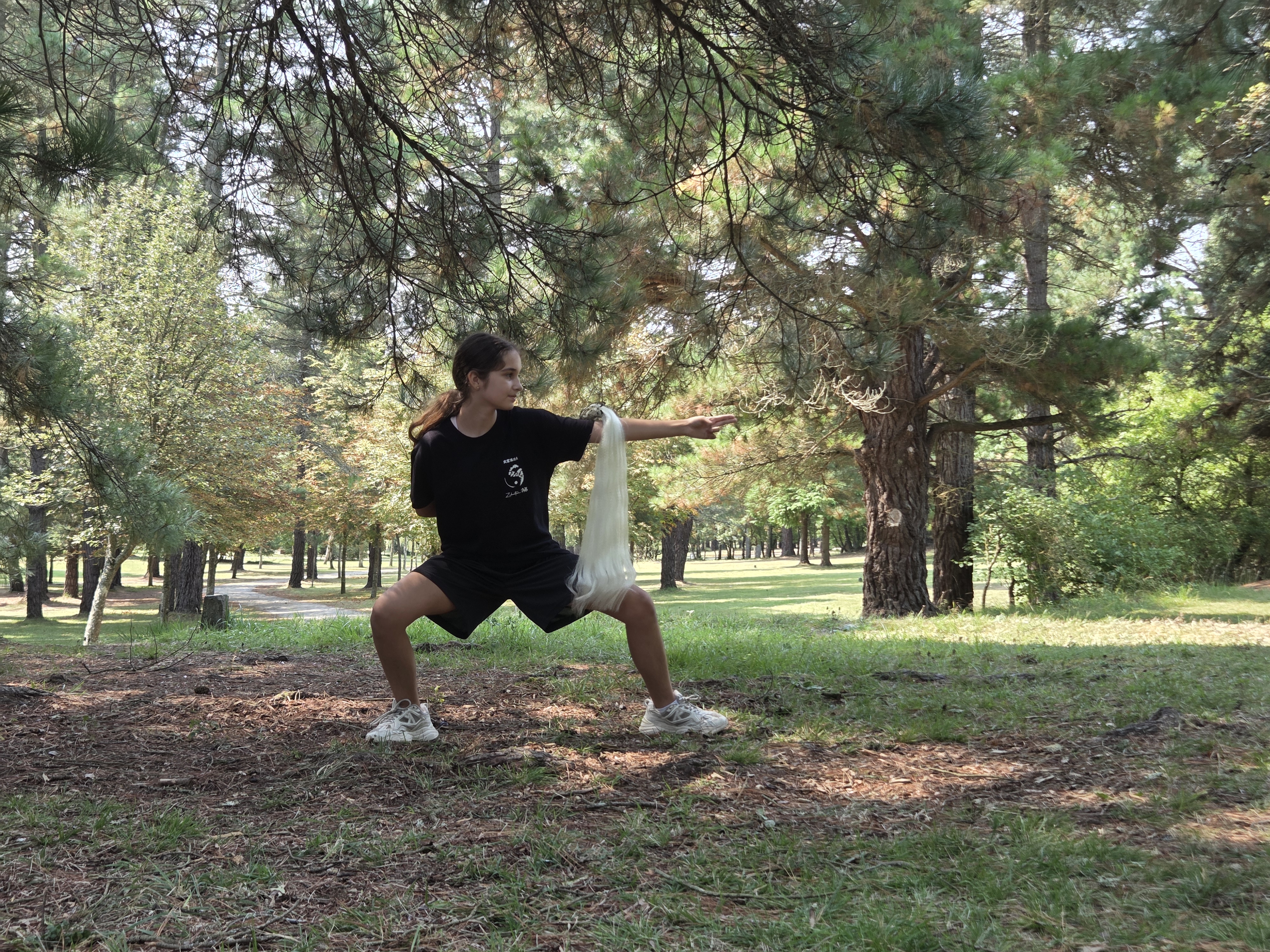 aaa