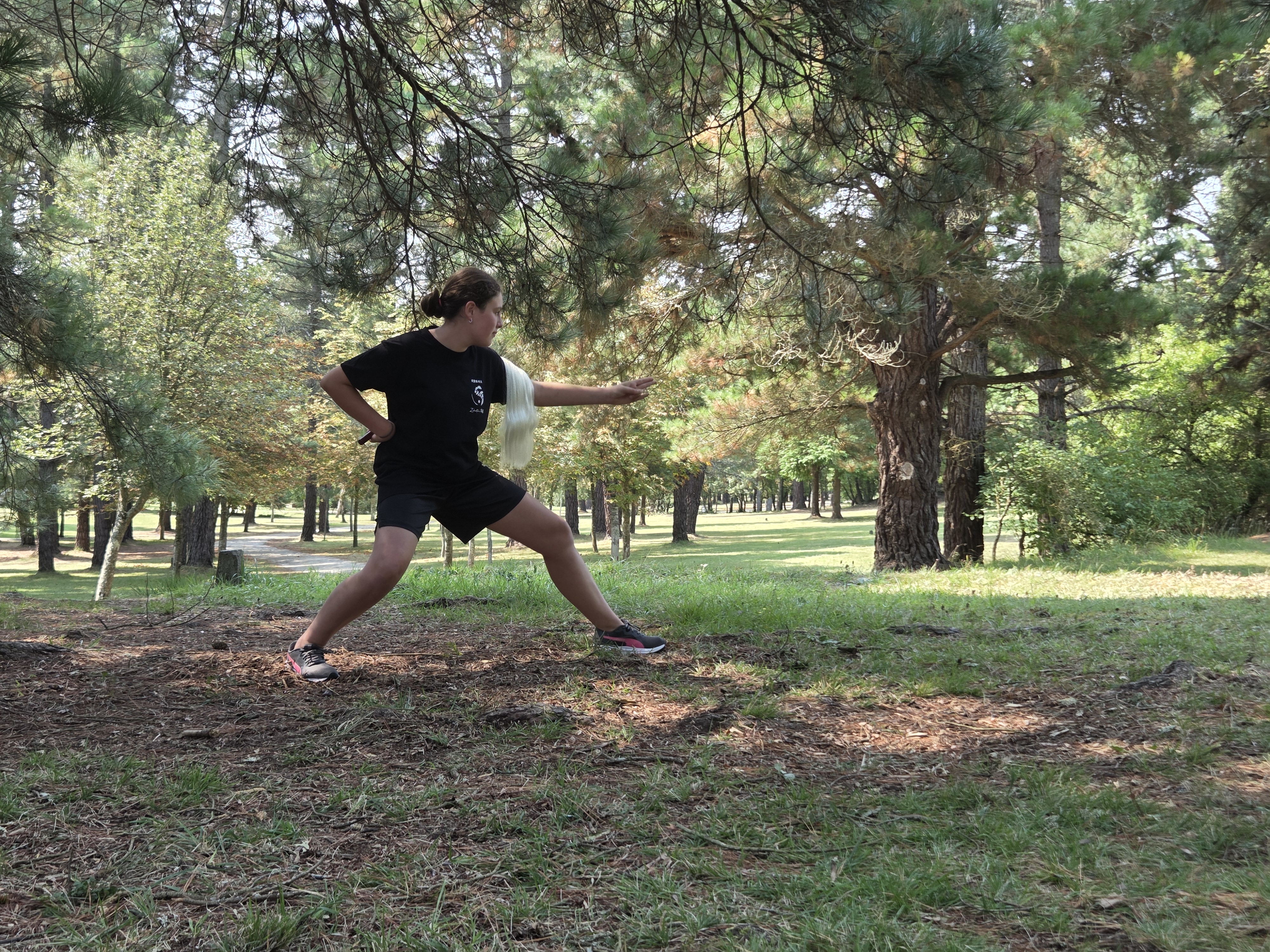 aaa